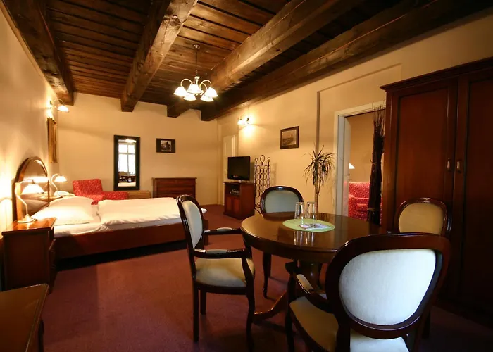 Hotel U Tri Bubnu Prag